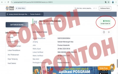 Contoh Hasil Pengumuman SPMB SMAN 13 Palembang yang diterima